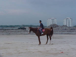 bestari1